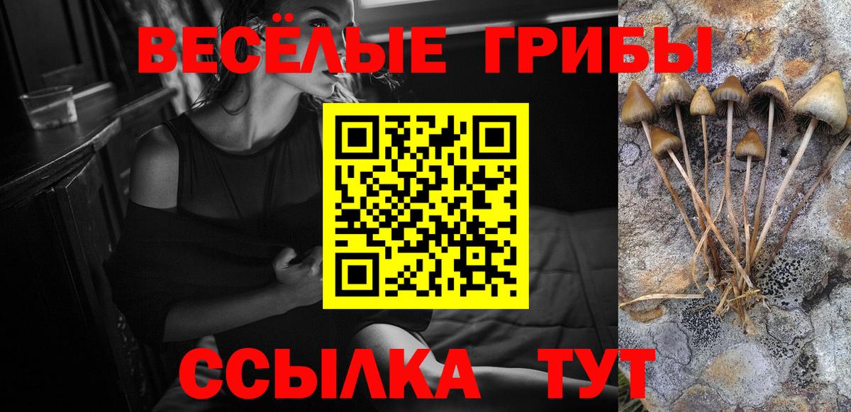 Псилоцибиновые грибы Magic Shrooms Качканар