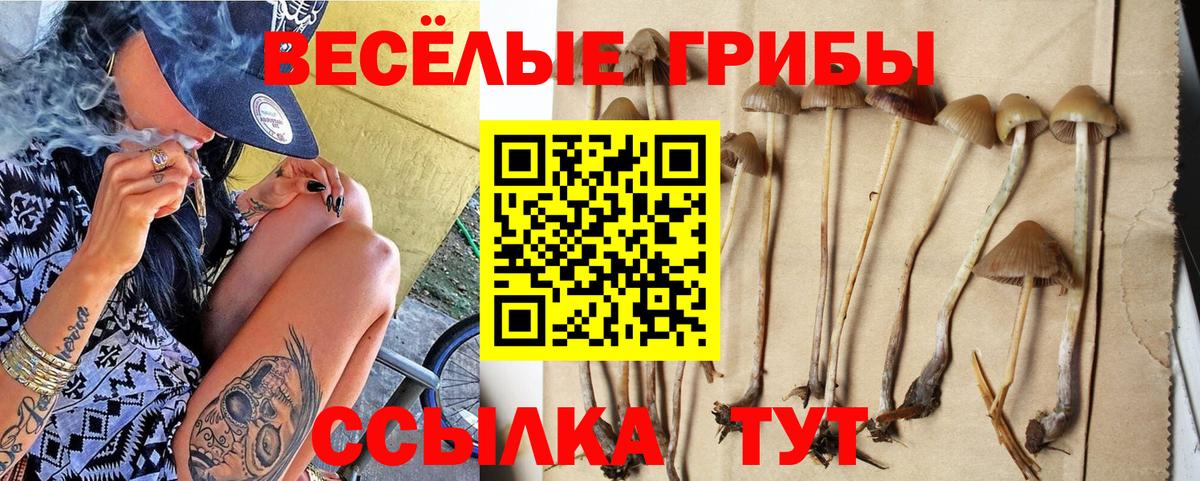 Качканар  Галлюциногенные грибы ЛСД  Вход с VPN  Галлюциногенные грибы Cubensis 
